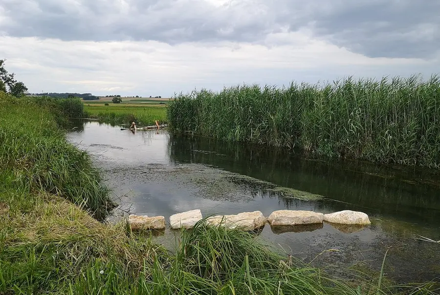 Boulders, rootstocks and timber structures in the Grosse Laber near Schierling, district of Regensburg, now positively changing the flow dynamics of the river