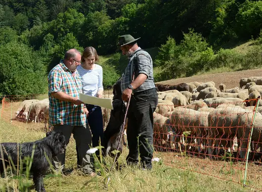Ein Mitarbeiter und eine Mitarbeiterin des Landschaftspflegeverbands sind im Gespräch mit dem Schäfer.